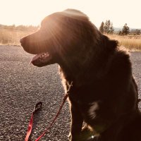 Catherine Wirth (@rotchford) 's Twitter Profile