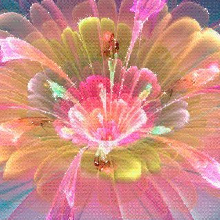 Transforming adventure and personal experience. Taking in truth, one step at a time.