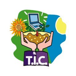 Funcionario TIC de la Administración General del Estado