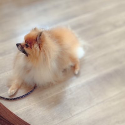 chimi☆さんのプロフィール画像