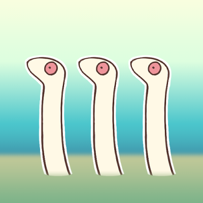 コクトウさんのプロフィール画像