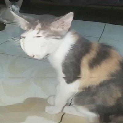 Pablo36350419's profile picture. Funny