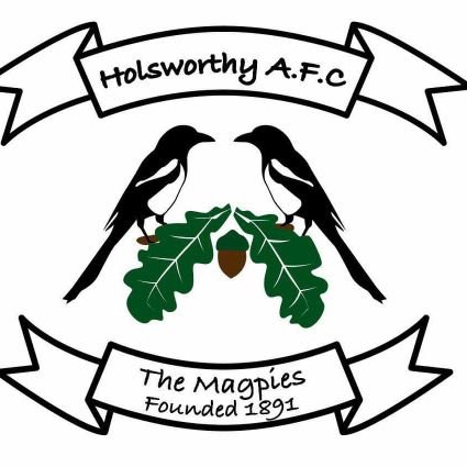 Holsworthy afc Supporters