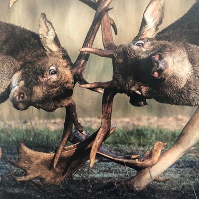 alybertkolk's profile picture. 