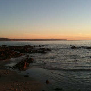 lenorefd's profile picture. 