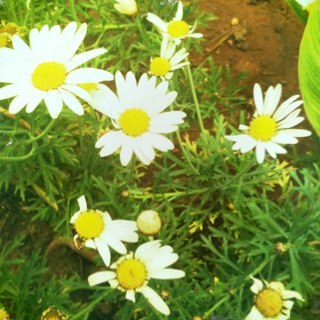 paula_larsson's profile picture. 