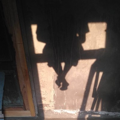 abdul_allatif's profile picture. 