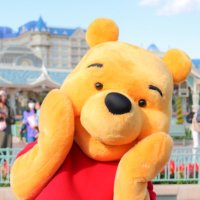 ま (@pooh_y_miwa) 's Twitter Profile Photo