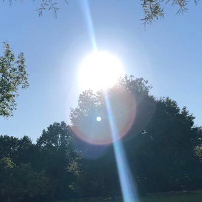 jo_schind's profile picture. 