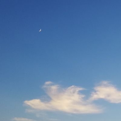 みなとさんのプロフィール画像