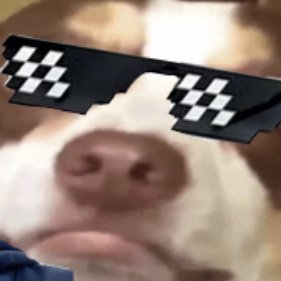 Djarno20's profile picture. fridge