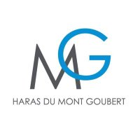 Haras du Mont Goubert(@HduMontGoubert) 's Twitter Profile Photo