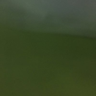 1479abcd's profile picture. 