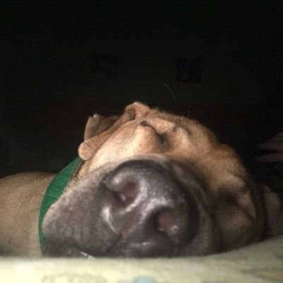 JC_AR48's profile picture. 