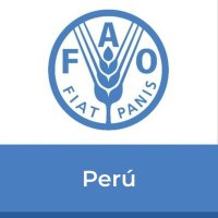 FAO Perú (@faoperu) 's Twitter Profile