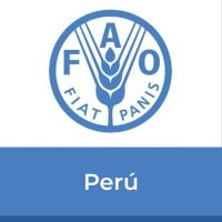 FAO Perú(@FAOPERU) 's Twitter Profile Photo