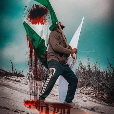 ibrowiz01's profile picture. #teamOctober's very Own