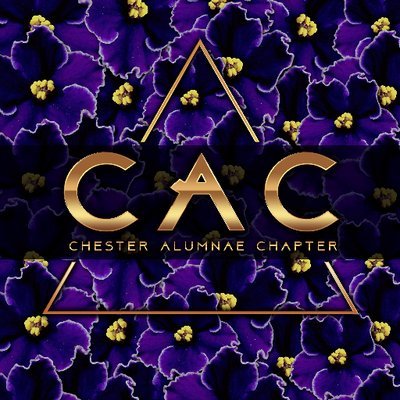 Chester Alumnae Chapter has served the Delaware County community for 29 years by providing programs aligning with the sorority's Five Point Programmatic Thrust.