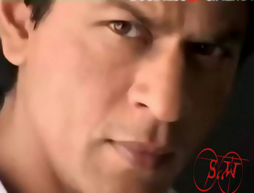 ♥ Dedicated to Indian actor & Global Icon shah rukh khan From His Egyptians Fans. We adore u King khan ♥
Tofytaa & mesho