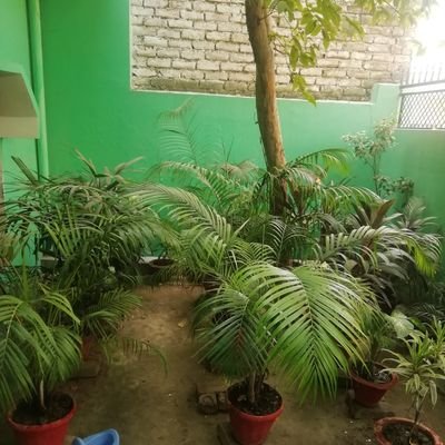 ashraf857575's profile picture. 