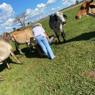 Agro life
