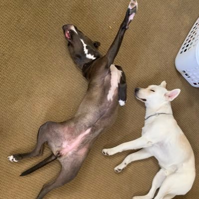 TGWD81's profile picture. 