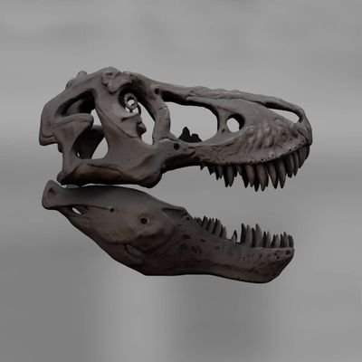 Digital artist. Amateur Palaeoartist. Prop-designer. Skull maker. He/Him.