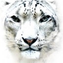 Wanda Danner - @lkayd - Twitter