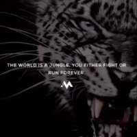 Joshua Cervera (@joshuacervera4) 's Twitter Profile