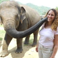Donna Leinwand Leger (@donnaleinwand) 's Twitter Profile Photo Donna Leinwand Leger (@donnaleinwand) 's Twitter Profile Photo