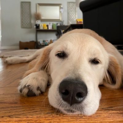 JessicaDHawley's profile picture. 