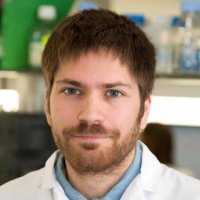 Robert Montal (@robertmontal) 's Twitter Profile