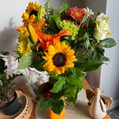 devereux_sally's profile picture. Great grandmother, puppy lover, tennis fanatic and wannabe writer. Socially minded.