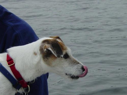 tromblyj's profile picture. 