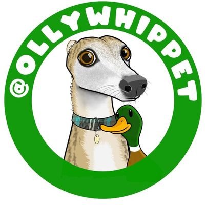 ollywhippet Profile Picture