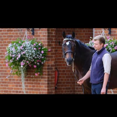 Legg112's profile picture. Stallion man Juddmonte Farms