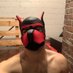 PupCorten (@pupcorten) Twitter profile photo PupCorten (@pupcorten) Twitter profile photo