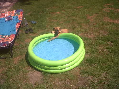 dmorris777's profile picture. 