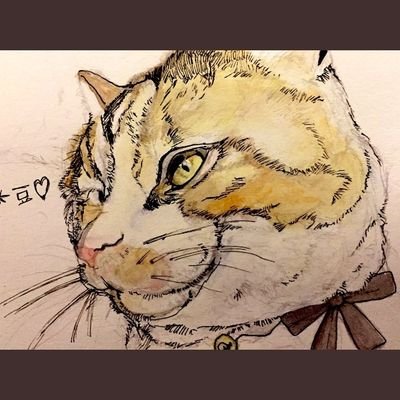 daizuu_cat's profile picture. 1999年~SLE 等などなど｡｡             
2012年~結婚 同居 地獄                          
2018年   最愛の母が虹の橋へ(SLE)｡｡ 
2020年~旦那家族と別居｡｡             
2021年~急性骨髄性白血病｡｡       
 🐱大豆愛🐱