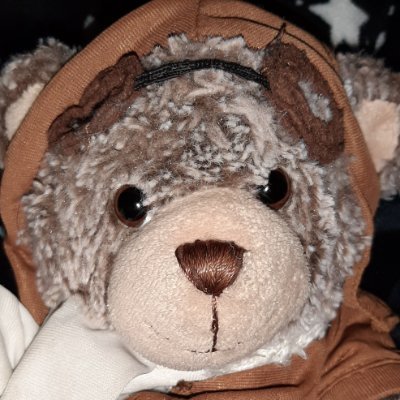 i am a soft teddy bear
i am an aviation expert
i am a 4th wave feminist
i'm married to @Ossington_Bear
i like nice people of all species