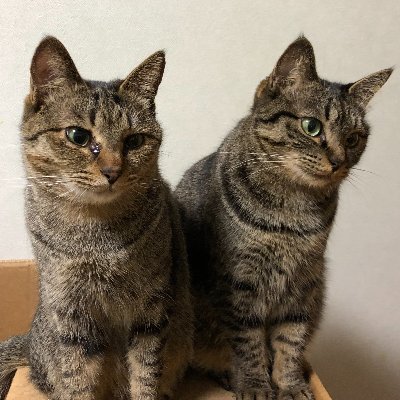 日本国民としての矜持を持ち、日々安寧と日本国の弥栄を願う者です。
右、左、政党、宗教関係なく物事を是々非々で考えていきたいと思います。
※乱暴な言葉遣い攻撃的なもの・誹謗中傷・名誉毀損と思われるコメントはご遠慮ください。
良識ある対応をお願い致します。