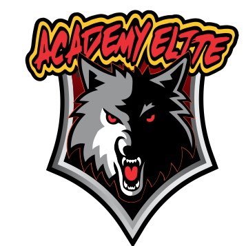 AcademyElite7v7 Profile Picture