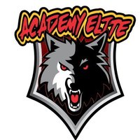 Academy Elite 7on7 (@academyelite7v7) 's Twitter Profile