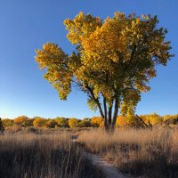 The Center for Community Geography (@nmcommunitygeog) 's Twitter Profile Photo The Center for Community Geography (@nmcommunitygeog) 's Twitter Profile Photo