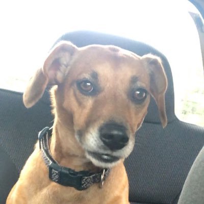 spaghettibowl3's profile picture. Pouge life 🤙🏻🌊 Americano🇯🇴 Genesis 2:28✝️ Live laugh love 💛🌻R.I.P XXX tention 💔 MAGA 🗳