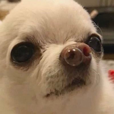Swiftimusさんのプロフィール画像