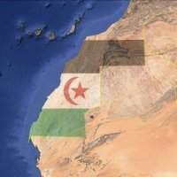 🇪🇭 Sahara Libre (@wsahara1) 's Twitter Profile