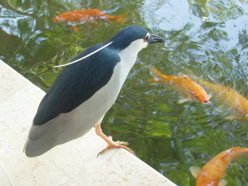 5002mob's profile picture. 海と音楽が大好きなアラサーです。仕事をしながら学生をしていますが，目標は良く学び良く遊び…(笑) 日々見つける色んなパワーを元気に変えて発信できたらいいなぁと思います。