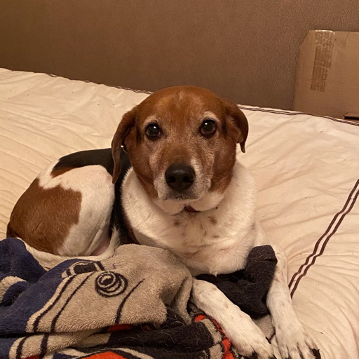 jdecoursey's profile picture. Providence gal. Boston fan. Terp mom. Jumbo for life.