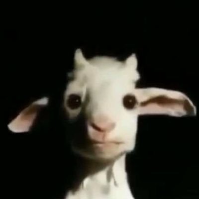 Kamil56721530's profile picture. 